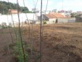 /album/casa-antiga-com-terreno-na-maia/a20130726-175557-jpg/